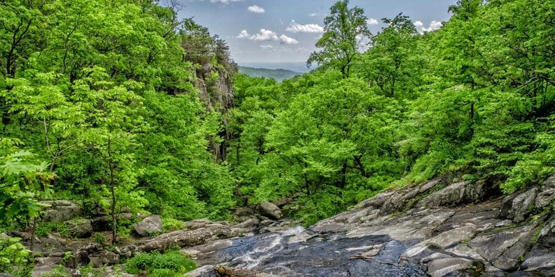 AI Tools vs. Traditional Tools: An ROI Breakdown for 2024